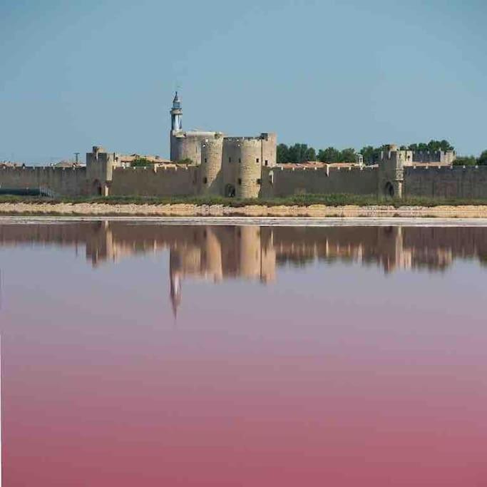 Maison Chaleureuse A 5 Mins Des Remparts Aigues-Mortes Dış mekan fotoğraf