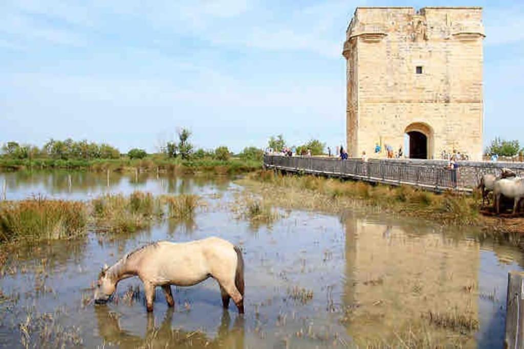Maison Chaleureuse A 5 Mins Des Remparts Aigues-Mortes Dış mekan fotoğraf