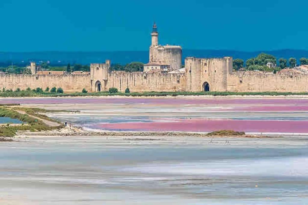 Maison Chaleureuse A 5 Mins Des Remparts Aigues-Mortes Dış mekan fotoğraf